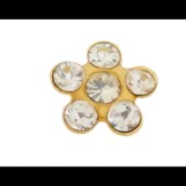 INVERNESS BRINCO FLOR CRISTAL INDO805 CAIXA 2UNIDADE(S) AÇO INOXIDÁVEL | OURO